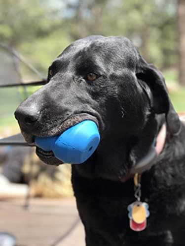 SodapUp Industrial Dog Nural Rubber Double Trouble Toy - Dispensador de tratamento - Made nos EUA - Para mastigadores pesados ​​- Blue - grande