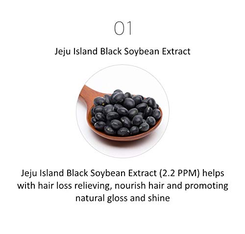 Nature Republic Black Bean Anti -Prail Wair Watre - Extrato de feijão preto para evitar a perda de cabelo, estimular