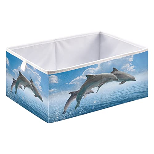 Dolphins Sea Cubo Bin Bin Bins dobrável Cesta de brinquedos à prova d'água para caixas de organizador de cubos para brinquedos Closet infantil garotos meninos Livro de roupas - 15.75x10.63x6.96 em