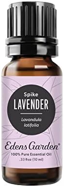 Edens Garden Lavanda- Óleo Essential Spike, puro grau 10 ml