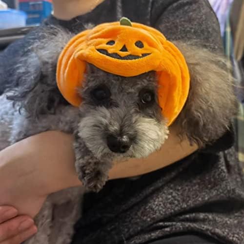 Halloween Pumpkin Hat for Cats Small Dogs, boné figurin