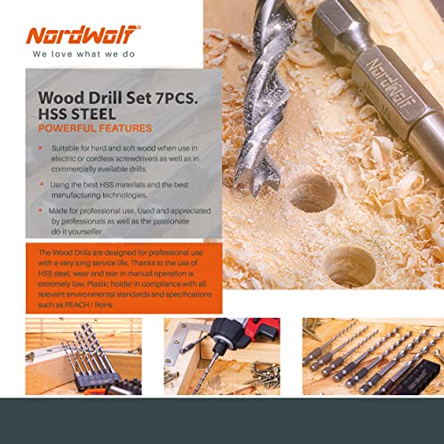Nordwolf 7 peças HSS Brad Point Bit de perfuração de madeira definida para madeira dura e laminada, com hastes hexadecimais de 1/4 de chucks e drivers de impacto, tamanhos SAE 1/8 -3/16 -1/4
