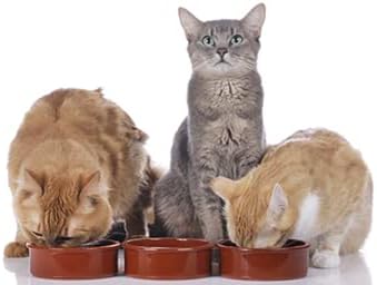 Obtenha animais de estimação de animais de estimação redondos de 8 ”Deep Cat Bowl Washer e Microondas Capacidade segura 10 oz