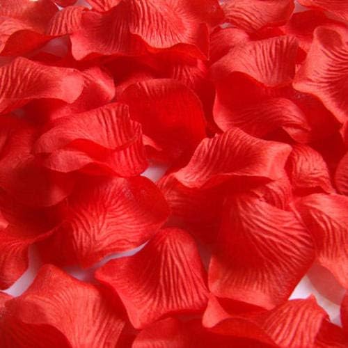 Hongyitime 1200 PCs Artificial Silk Rose Petals Decoração para noite romântica, casamento, evento, festa, decoração, decoração