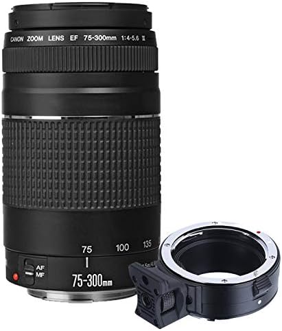 Câmera digital sem espelho eos R10 com RF-S 18-45mm f/4.5-6.3 é lente STM + 75-300mm f/4-5.6 III lente + 50mm f/1,8 lente stm + 128 GB de memória + estojo + tripé + filtros + filtros
