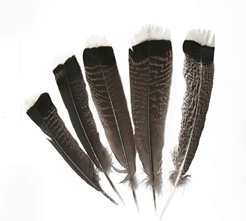 TTNDSTORE FEETHERS NATURAL DE Águia 25-30cm/10-12 polegadas Favorias de peru de peru águia penas de pássaros para jóias