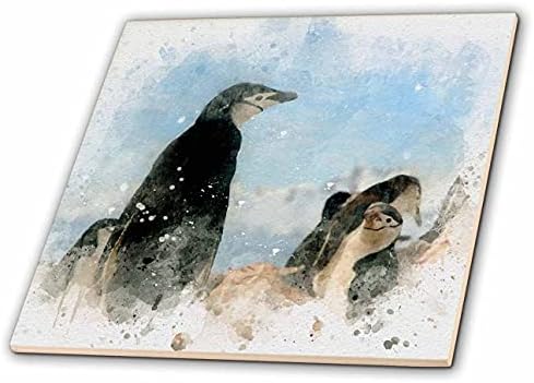 3drose Anne Marie Baugh - Imagem de aquarelas - Penguins Imagem de aquarela - azulejos