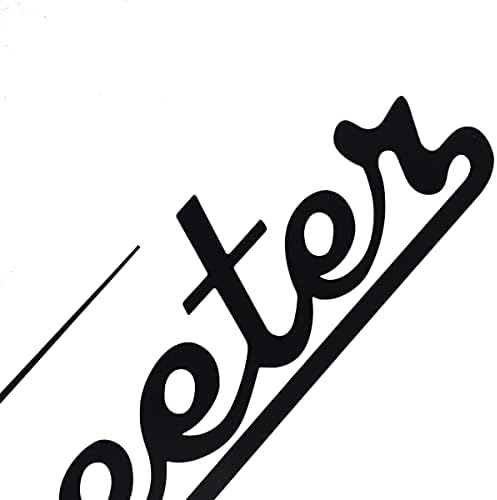 Conjunto de 2 barcos skeeter Logos laterais Decalques