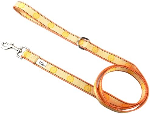 Pawhuggies Spring Orange Dog Leash, 5 pés reversíveis de coleira de cachorro de cachorro estampado, trela de cachorro de frutas