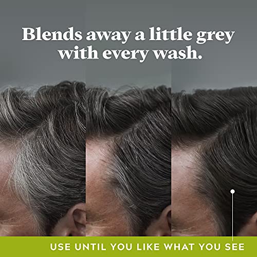 Apenas para homens controlam o xampu GX Grey Reduzindo, a cor gradual do cabelo para cabelos mais fortes e saudáveis, 4 fl oz - pacote