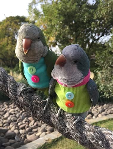 Roupas de pássaros - camisa artesanal de suéter de pássaro com botões de traje de vôo para papagaios africanos cinzas periquoras cockatiel