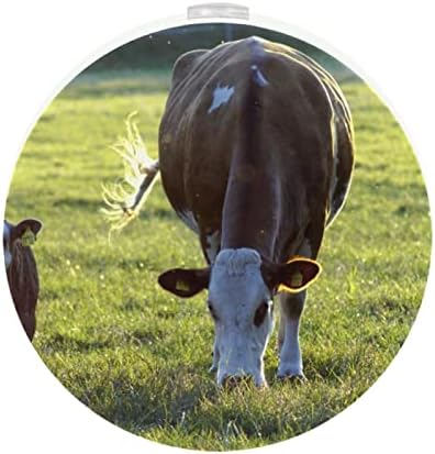 2 Pack Plug-in Nightlight LED Night Light Aniaml Cow Grass Pasture Ruminante com sensor de Dusk-to-Dawn para o quarto de