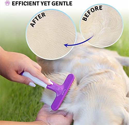 Pacote de animais de estimação Poodle - escova de lampejo para pequenos e grandes cães de removedor de cabelo de