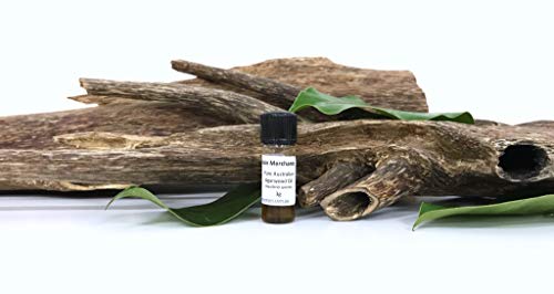 Óleo essencial Agarwood Pure Aquilaria malaccensis Natural Attar 100 ml