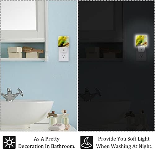 Rodailycay sensor leve à noite melopsittacus vizinhos viradores, 2 pacotes de luzes noturnas se conectam na parede, luminosos noturnos de LED brancos para berçário para o banheiro do banheiro escadas do quarto das crianças