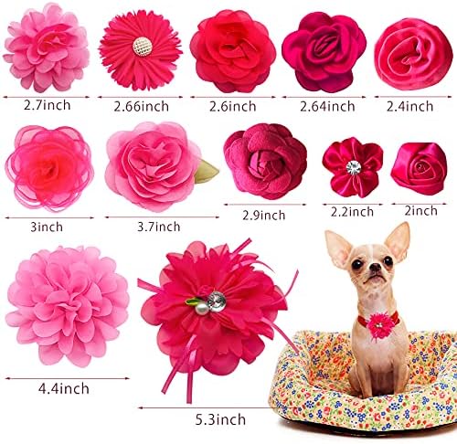Pet Show 12pcs rosa rosa gola de cachorro arcos e flores acessórios para meninas cachorros gatos fêmeas fêmeas pequenos cães