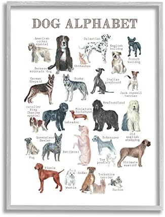 Stuell Industries Dog Alfabeto Múltiplas raças Gráfico de animais educacionais, design por Dishique