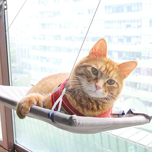 All for Paths Cat Window Police Para gatos internos, uma rede de gatos para economizar espaço para janela, móveis de gato pendurados,