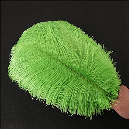 Zamihalaa 10-200pcs Avestruz verde de maçã Feather 15-70cm Feathers DIY para artesanato Decorações de vestidos de noiva de festa de Natal-25-30cm 10-12 polegadas-50pcs