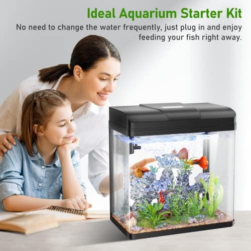 Pondon Fish Tank, aquário de vidro de 3 galões com bomba de ar, 2 cores leves LED e filtro, pequeno tanque de peixe para