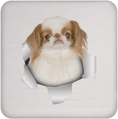 Engraçado Japonês Chin White Branco Vermelho Natal 2023 Presentes Coaster para homens Mulheres amantes de cães