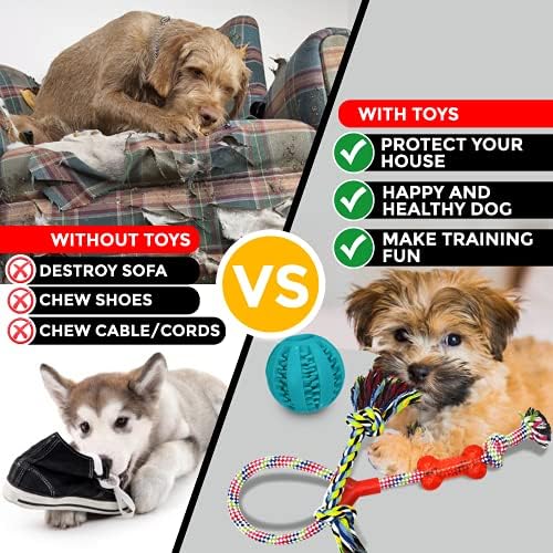 Zixx Dogs Chew Toys - 13 Pack Set Puppy Toys, Dog Earing Toys, Toy pesado de corda para limpeza de dentes e impedir o tédio, enchendo
