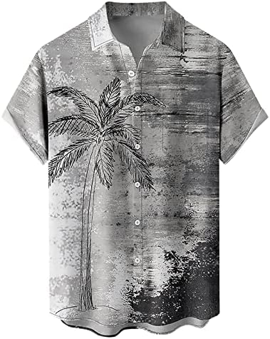 Camisas de vestido masculinas de verão 2023 Pintura impressa 3d Camisa floral Homens homens recorrem a camisa de flanela vintage
