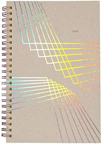 Cambridge 2019 Weekly & Monthly Planner, 5 x 8, pequeno, holográfico