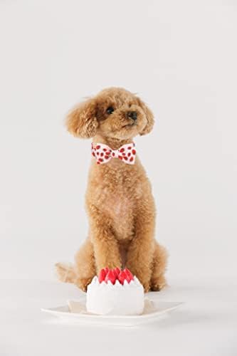 Cola de cachorro Lionet Paws com a gravata borboleta - Coloque de gato de cachorro de algodão fofo de algodão fofo com fivela