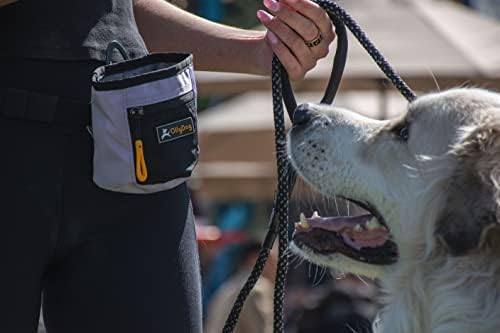 Ollydog Ajuste de cão refletivo acolchoado ajustável e conjunto de trela de corda, chicote alpino e pacote de trela