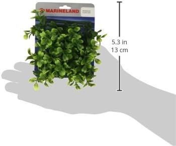 Marineland 90546 BOTWOOD PLANT TAT para aquário, verde