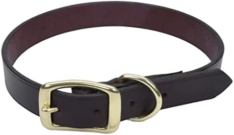 Coastal - Circle T Latigo Leather Town Dog Collar com hardware de latão - marrom e dourado - 5/8 x 14