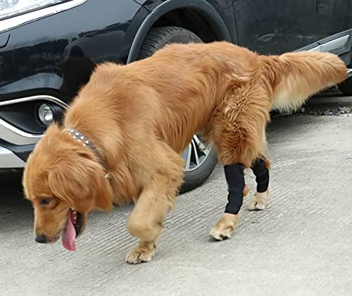 Alnicov Pet Kneepad, 1 par de suporte da perna da perna de cachorro Suporte carpo para cães com artrite e lesões