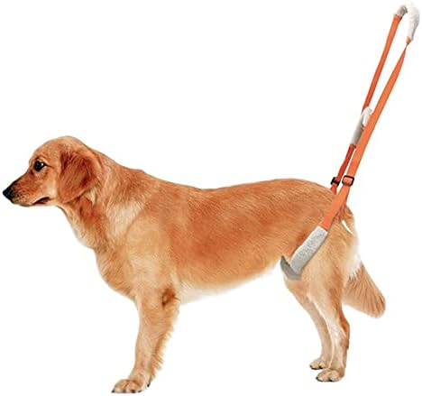 Arnês de elevador de cães, arnês de arnês de levantamento de cães arnês com tiras ajustáveis ​​para cães velhos lesões articulares artrite canina