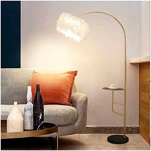 Lâmpadas padrão Sala de estar, lâmpada de piso da casa, lâmpada de penas brancas elegante com controle remoto tem