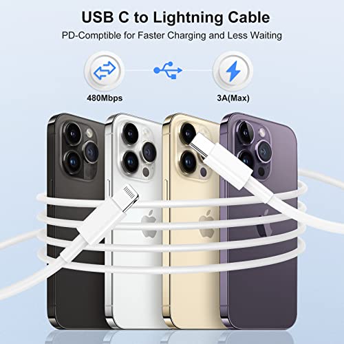 Tathlum 2pack 6ft USB C para um cabo de carregamento rápido de raio para telefones celulares