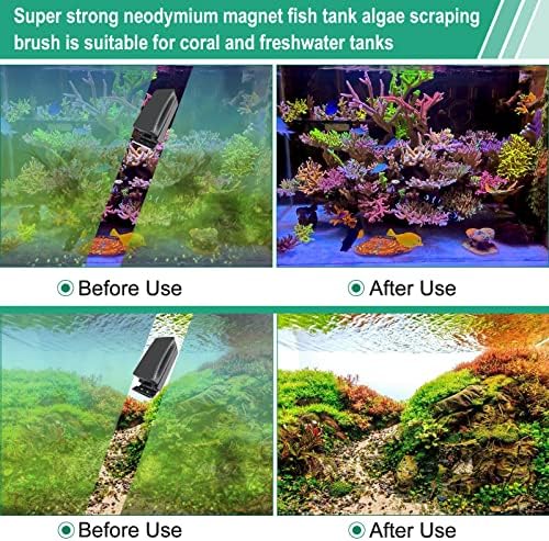Nestbasics Small Aquarium Magnet Algas Limpador de escova de raspador para aquários de vidro e acrílico Algas Magnet Algas Limpador
