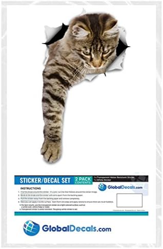 Winston & Bear 3D Gato Adesivos - 2 pacote - Decalques de parede de gato gato - Gatos de amantes de gatos - adesivos de parede