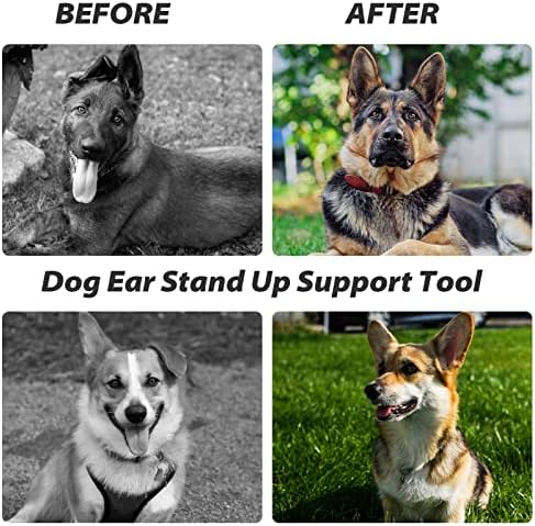 Correção de suporte fixo da orelha de cachorro ， Stick de orelha de cachorro