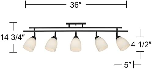 Trilha Pro Linear Linear 36 Luz de teto de faixa de vidro de 5 luzes de vidro largo de 36