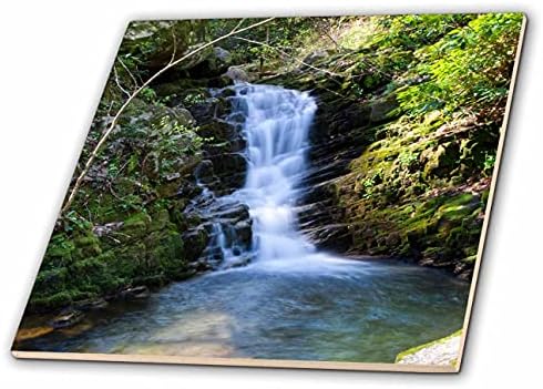 Fotografia 3drose de uma bela cachoeira nas montanhas defumadas EUA. - Azulejos