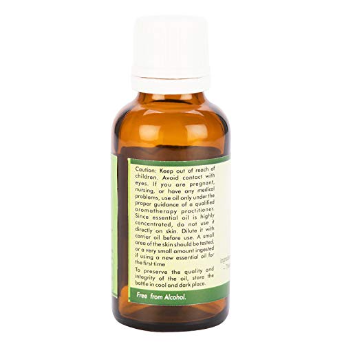 R V Essential Pure Ginger Essential Oil 50ml - Zingiber officinale