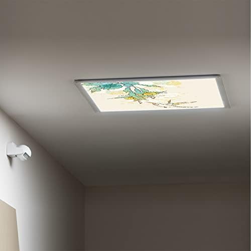 Tampas de luz fluorescentes para o teto dos painéis de luz dos painéis-de-fluorescentes de teto para cádicas de luz para sala de