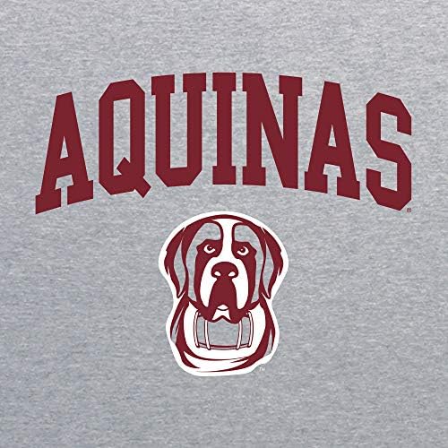 Logotipo da NCAA, camiseta em cores, faculdade, universidade