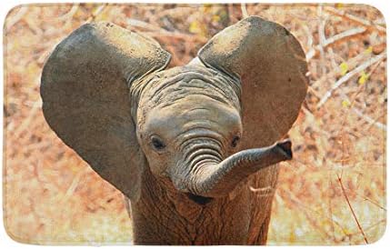 Topyee Banheiro Decor de 16 x 24 Banho tapete Um adorável elefante africano com orelhas batendo e tronco estendido no tapete