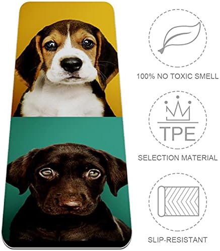 Coleção de retratos de Siebzeh de cachorros adoráveis ​​cães premium de ioga grossa MAT ECO AMICIONAL DE RORBO