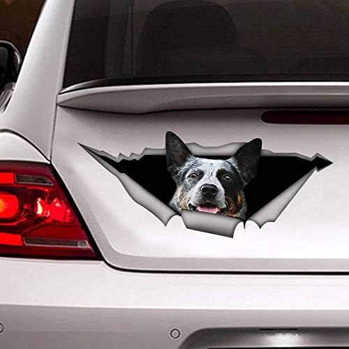 2pcs Blue Heeler Car Decalque Decalque Decalque de Vinil Funny Dog Adesivo de cachorro Desenho de cachorro Decal