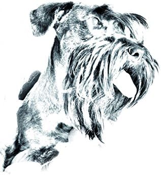 Cesky Terrier, lápide oval de azulejo de cerâmica com uma imagem de um cachorro