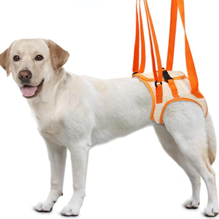 Pacify Dog Lift Harness, Sling de cães para cães grandes Suporte para as pernas traseiras m/l/xl, arnês de suporte para cães para as pernas traseiras da perna traseira e manter a reabilitação estável da junta