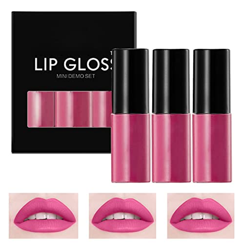 Pacote de brilho labial transparente 1 batom com maquiagem labial com maquiagem de lábios duradouros de pigmento nude de pigmentos